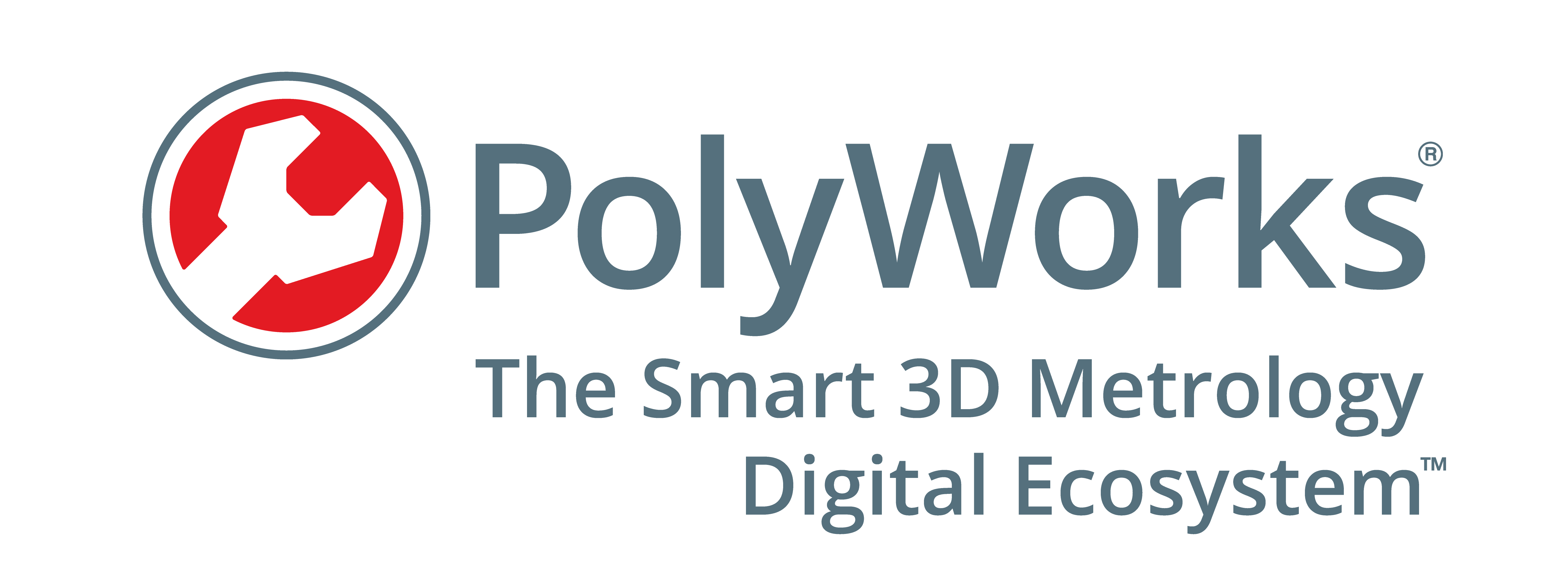 Distribuidor-software-Polyworks